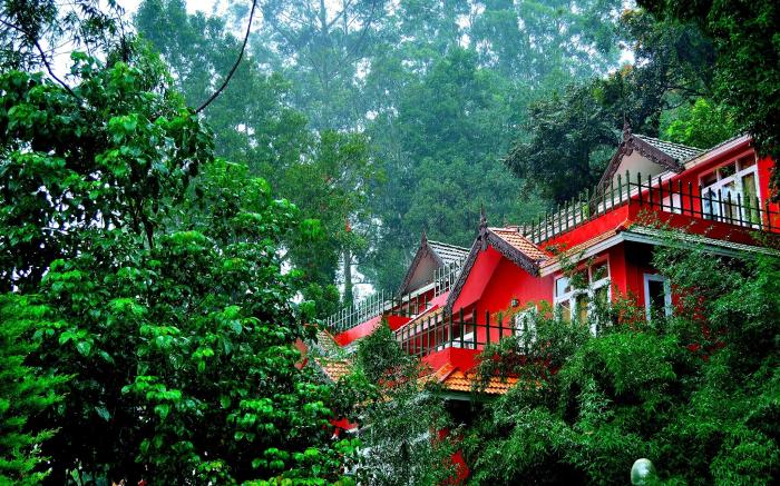 Tea Valley Resort