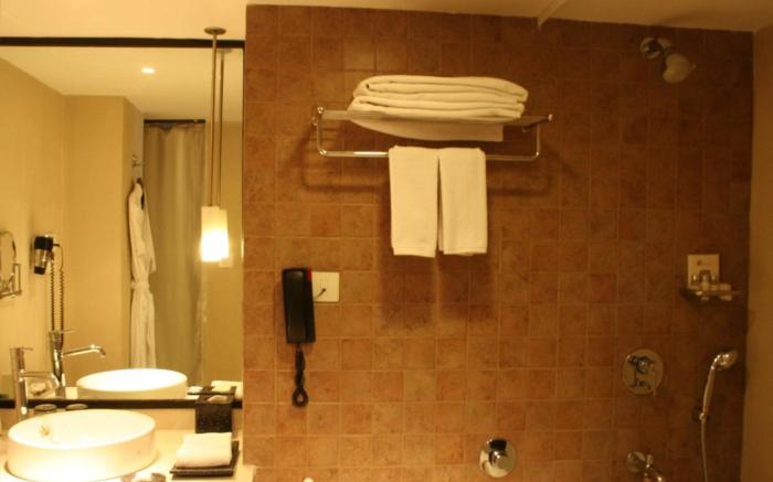 Mosaic Hotel - Noida