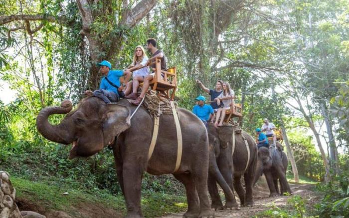 Sanctoo Suites & Villas at Bali Zoo