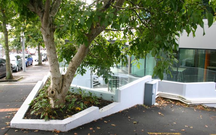 Parnell Pines Hotel