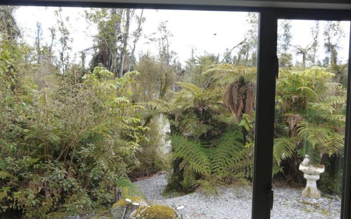 Franz Josef Treetops