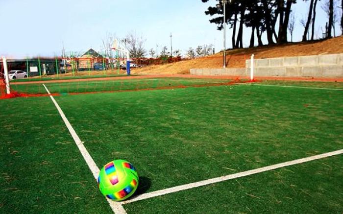 Daecheon Excursion Pension