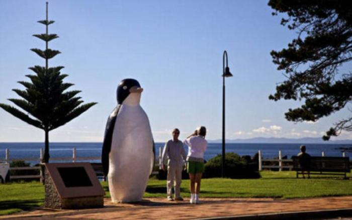 Penguin Beachfront Apartments