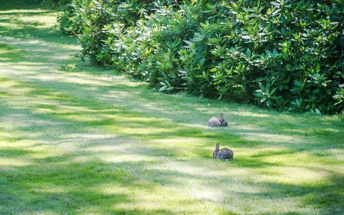 Claverton Country House Hotel