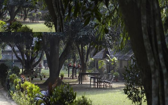 Tiger Tops Tharu Lodge