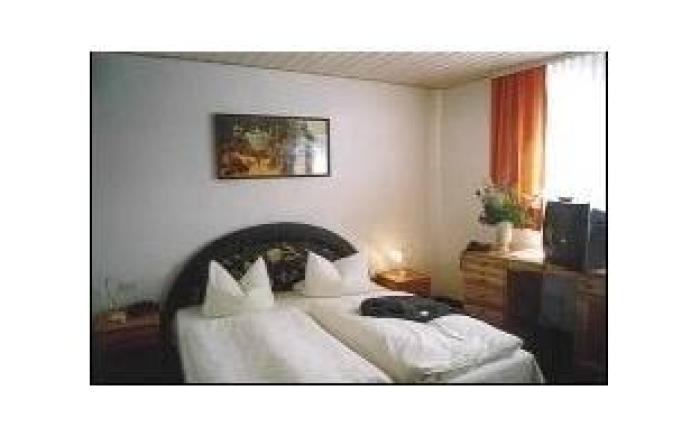 Hotel Goldener Karpfen