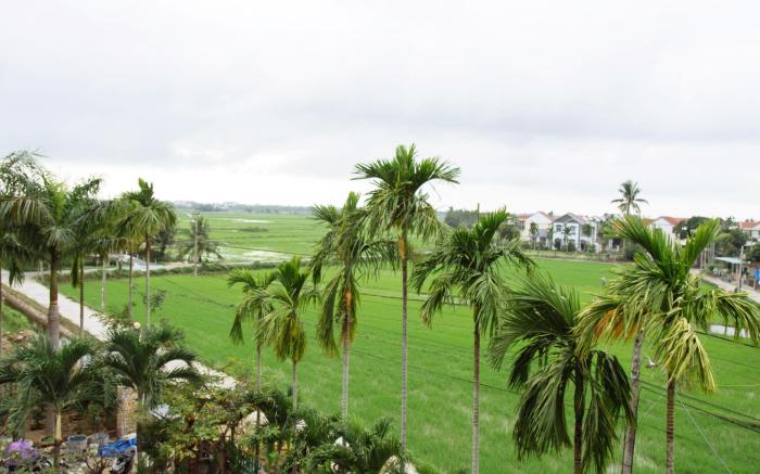 Hoi An Golden Rice Villa