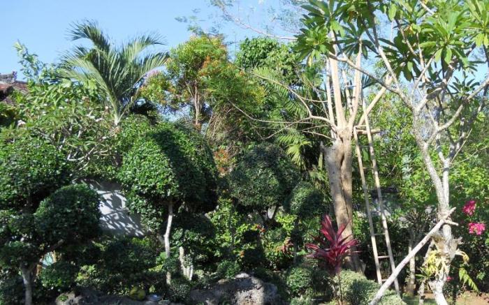 Avisara Villa and Guest House