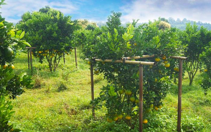 Bagus Agro Pelaga