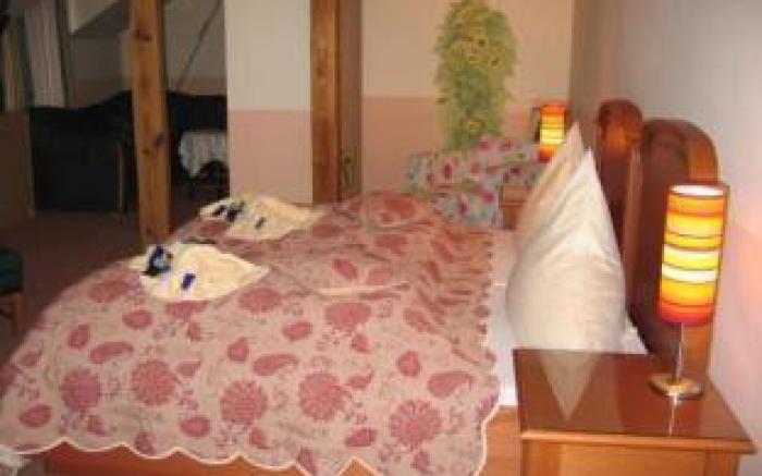 Hotel und Gastehaus Will
