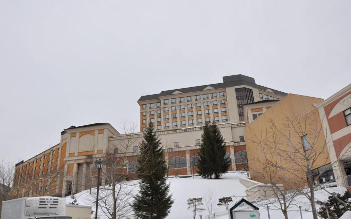 Hotel Morinokaze Oshuku