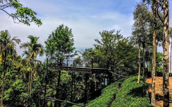 Tea Terrace Vythiri Resort