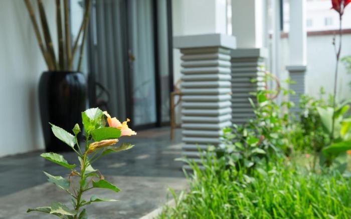 Dream Butterfly Garden Boutique Villa