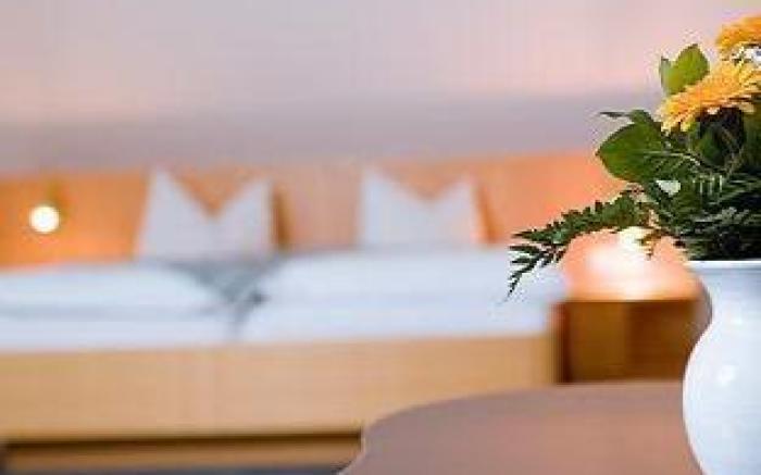 Hotel Luther Birke Wittenberg