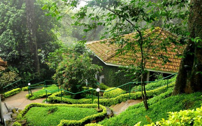 The Tall Trees Munnar