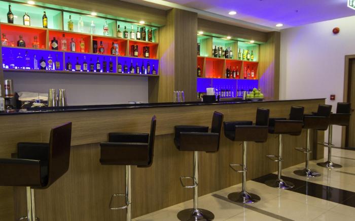 Holly Hotel