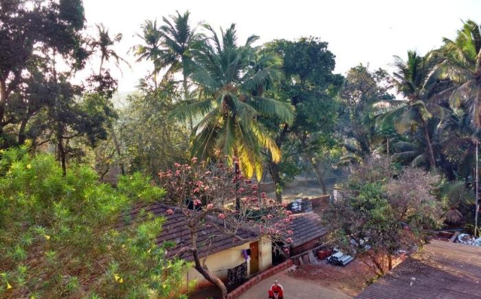 Center Point Residency