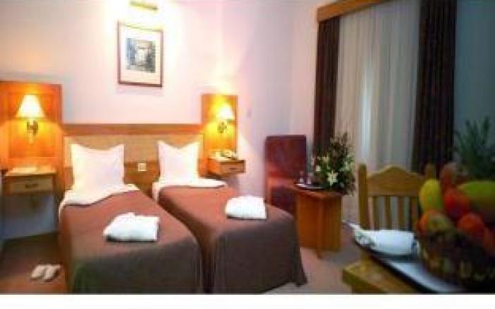 Hotel Rainha D. Amelia, Arts & Leisure