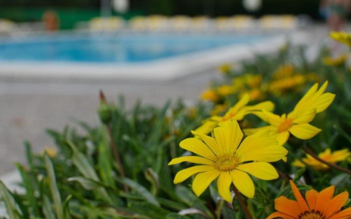 Apartaments Els Llorers