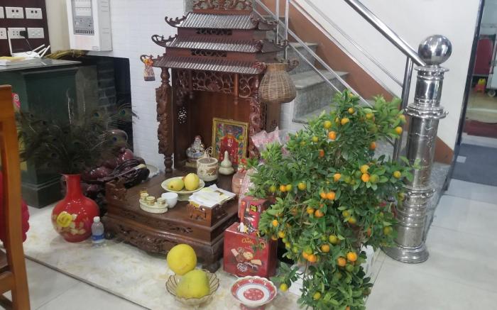 Cat Ba Discovery Hotel