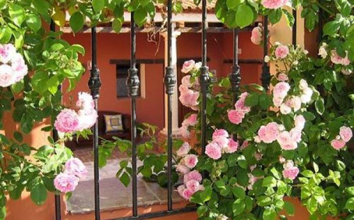 Hotel Rural Molino del Puente Ronda