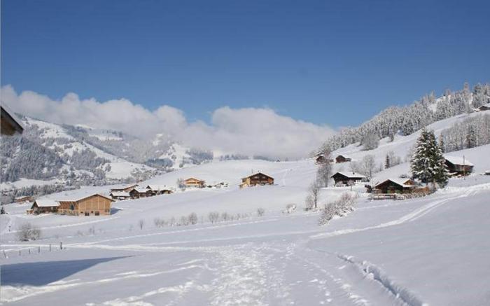 Hotel Le Grand Chalet Gstaad