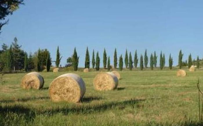 Tenuta Il Tresto