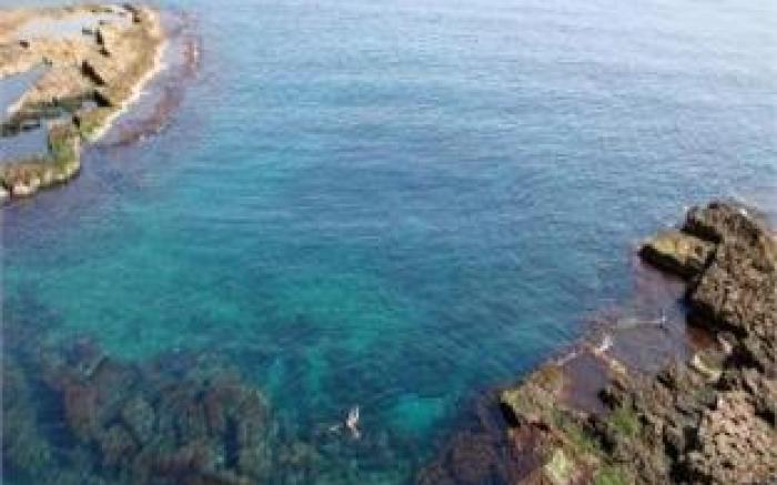 Giuggiulena
