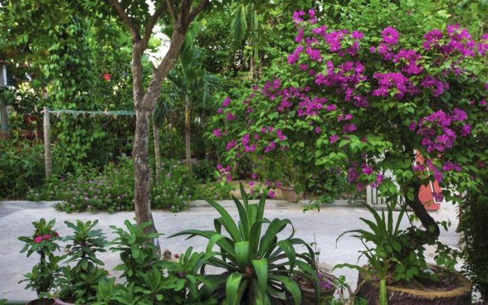 Thinh Phuc Homestay