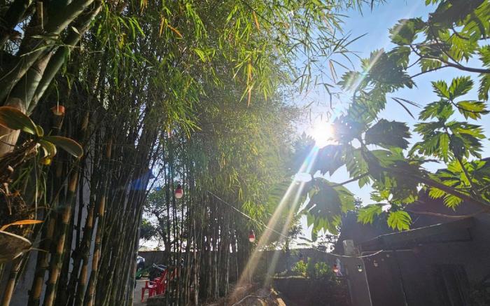 VINTAGE GARDEN BAO LOC - As peace as home