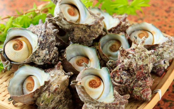 Boso Shirahama Umisato Hotel