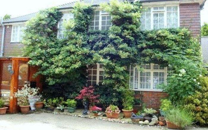 Da Vinci Guest House Gatwick