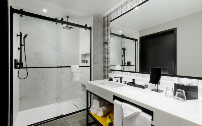 Hyatt Centric Mountain View