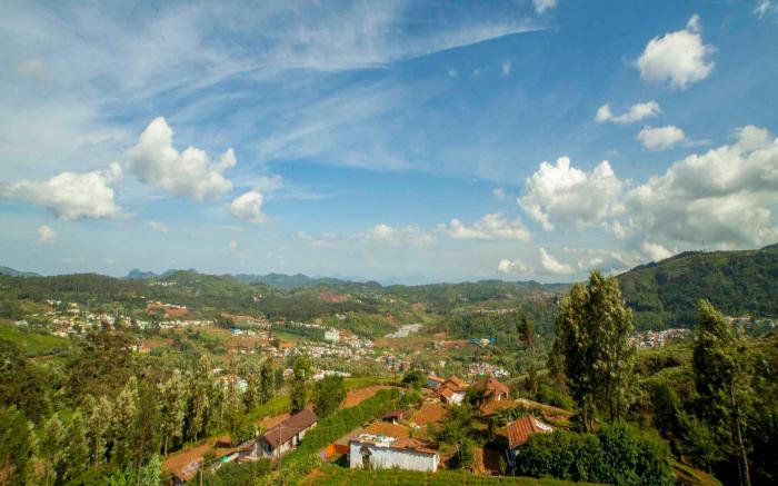Tulips Valley View Resorts
