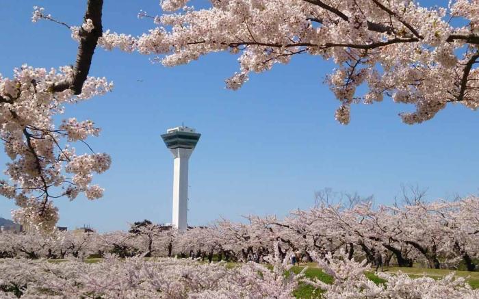 Kokotel Hakodate