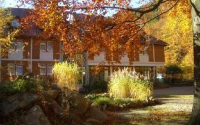 Kurpark Flair Hotel Im Ilsetal