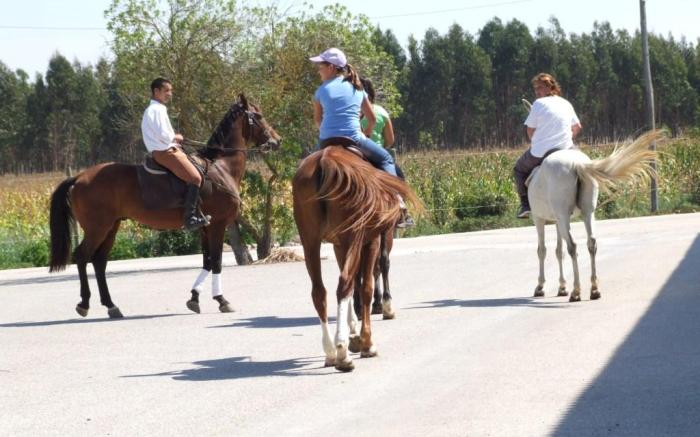Hotel Rural A Coutada