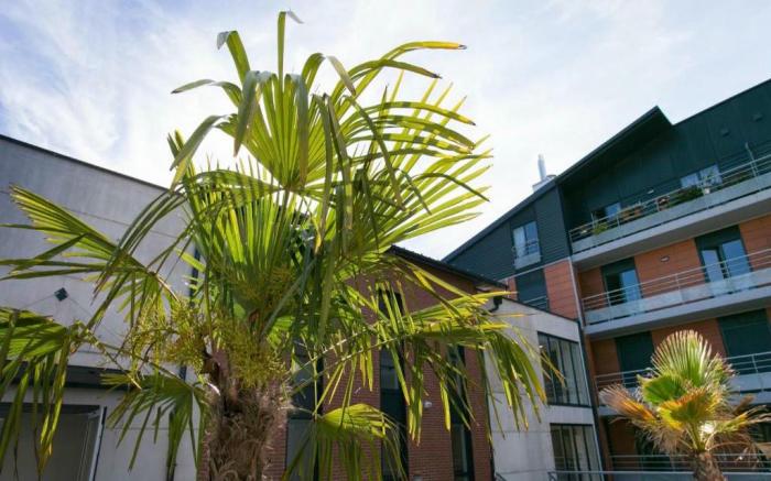 Zenao Appart'hotel Troyes