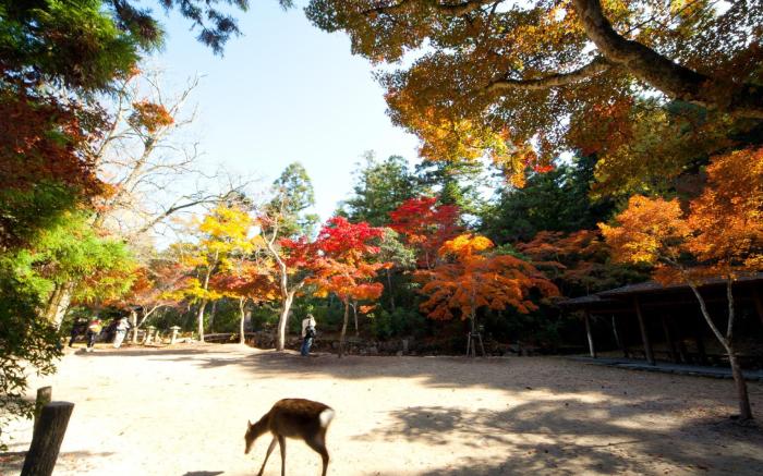 Grandvrio Hotel Miyajima Wakura