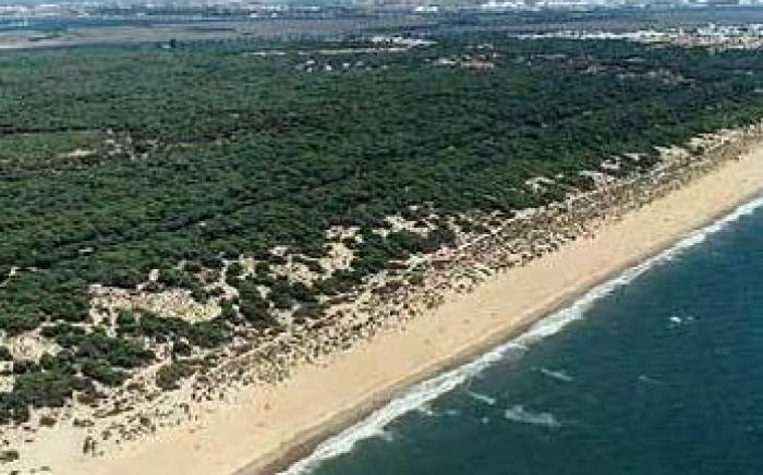 Leo Punta Umbria