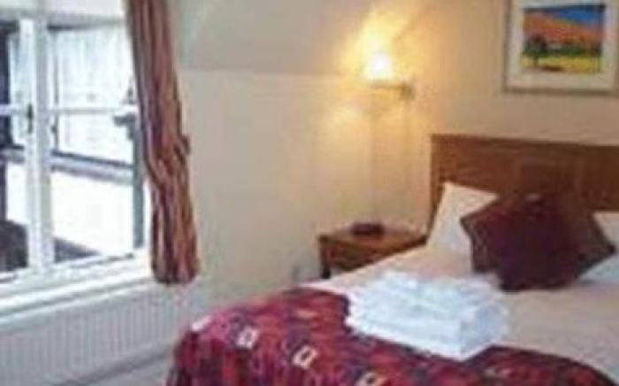 The Dog & Bear Hotel