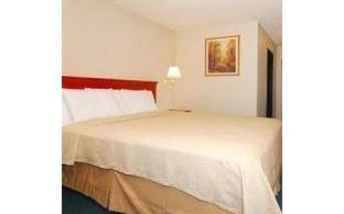 Discovery Inn