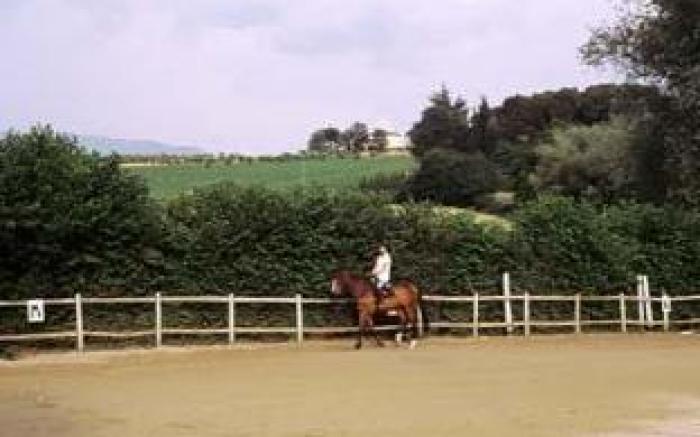 Tenuta Il Burchio