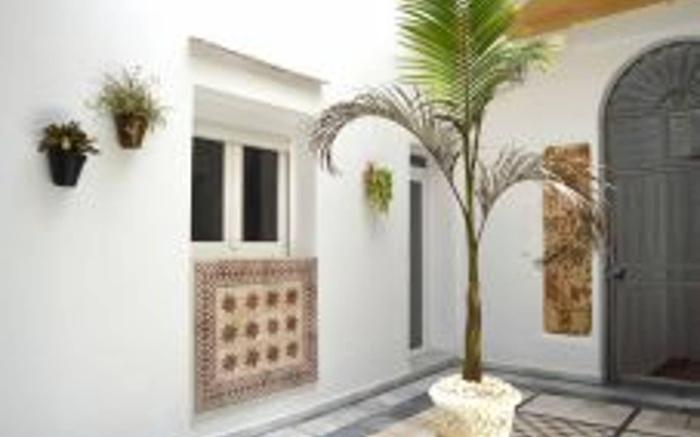 Apartment Veedor 19 Days And Many Nights