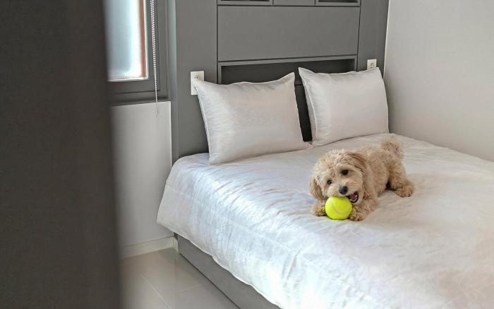 Gangneung Badauibyeol Pension