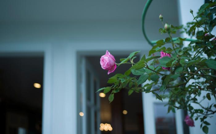 Le Soleil Boutique Hotel