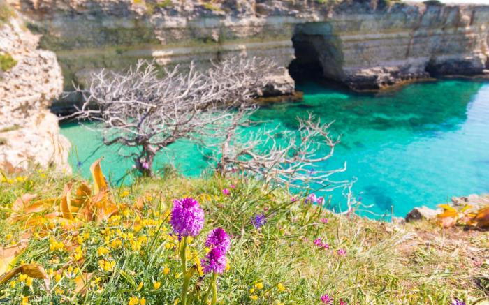 Holiday house marzia in Otranto, close beaches