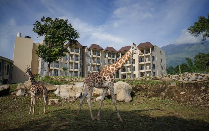 Baobab Safari Resort