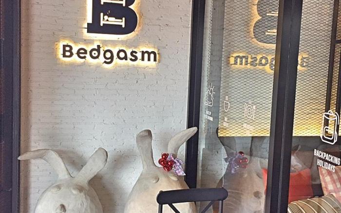 Bedgasm Hostel