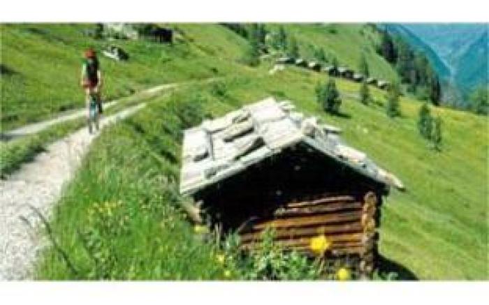 Alphotel Stocker Alpine Wellnesshotel